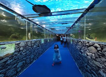 thailand/pattaya/attraction/monster-aquarium-pattaya