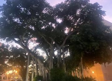 florida/cape-coral/attraction/true-tours