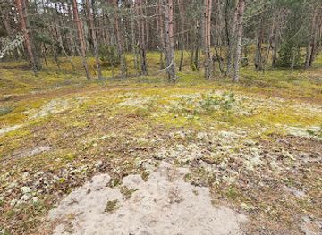 lithuania/curonian-spit-national-park/attraction/kupstuko-kopa