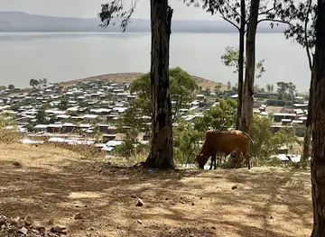 Tabor Mountain