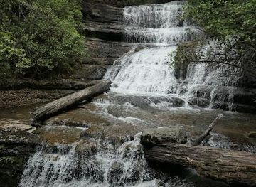 australia/mount-field-national-park/attraction/lady-barron-falls