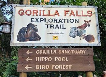 florida/orlando/attraction/gorilla-falls-exploration-trail