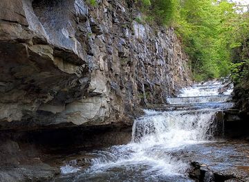 west-virginia/morgantown/attraction/white-park