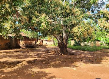 tanzania/zanzibar-island/attraction/fukuchani-ruins-cave