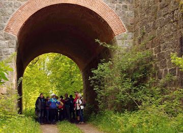 poland/roztocze/attraction/rezerwat-przyrody-gradowe-zbocze