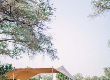 zimbabwe/mana-pools-national-park/attraction/chula-island-camp