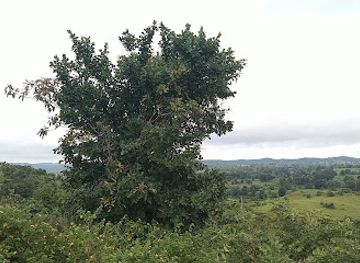 india/madhya-pradesh/attraction/amla-city-view-point