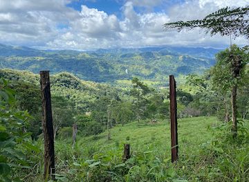 costa-rica/limon/attraction/la-iguana-chocolate