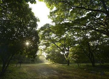 ecuador/guayaquil/attraction/bosque-protector-cerro-blanco
