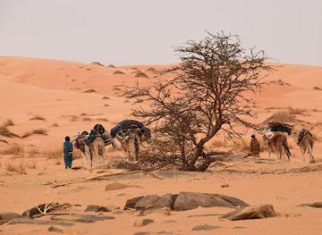 mauritania/chinguetti/attraction/dunes-de-neyanna
