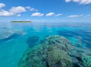 australia/great-barrier-reef/attraction/1770-reef-great-barrier-reef-eco-tours