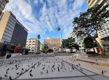 colombia/tolima-department/attraction/plaza-murillo-toro