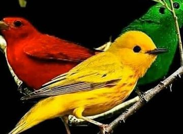 ethiopia/debre-markos/attraction/kassahun-admassu