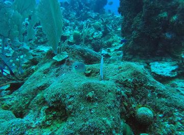 belize/caye-caulker/attraction/esmeralda-canyons