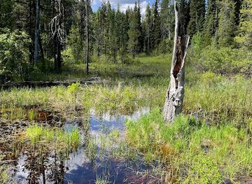 idaho/ponderosa-state-park/attraction/peter-t-johnson-interpretive-trail