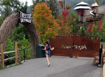 tennessee/gatlinburg/attraction/treehouse-village