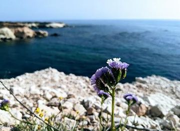cyprus/pissouri/attraction/sea-caves
