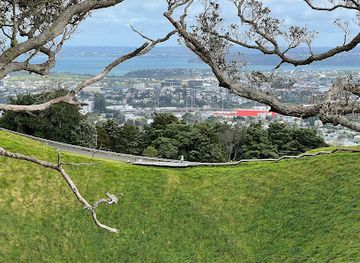 new-zealand/auckland/attraction/mount-eden-boardwalk