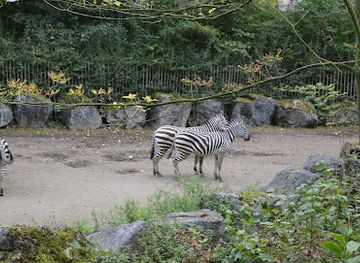 france/lille/wazemmes/attraction/zoo-de-lille