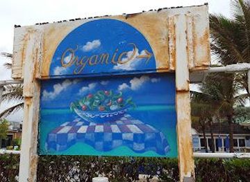 florida/fort-lauderdale/attraction/lauderdale-by-the-sea