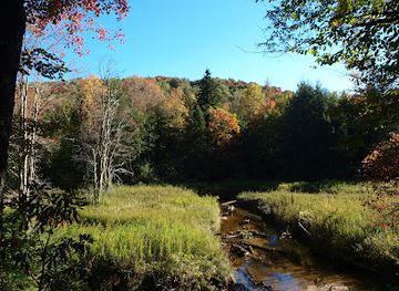 west-virginia/dolly-sods-wilderness/attraction/otter-creek-wilderness