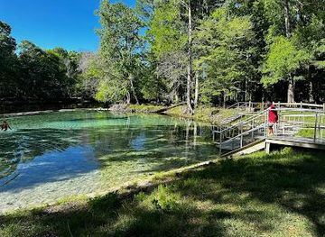 florida/gainesville/attraction/rum-island-springs-county-park