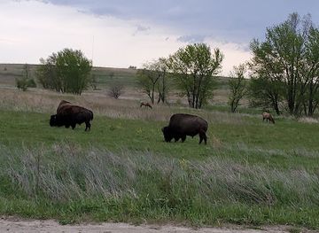 iowa/ottumwa/attraction/neal-smith-national-wildlife-refuge