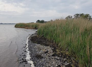 denmark/the-north-sea-islands/attraction/lammefjorden