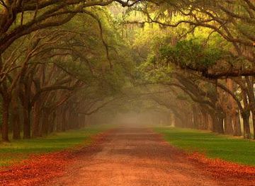 south-carolina/hilton-head-island/attraction/haunted-savannah-pub-crawls