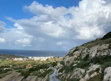 Panoramic View