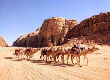 jordan/aqaba/attraction/wadi-rum-village