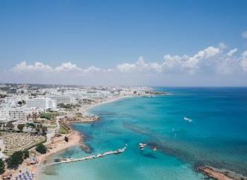 cyprus/ayia-napa/attraction/fig-tree