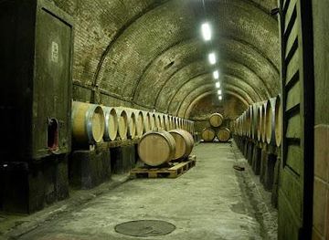 italy/san-gimignano/attraction/fattoria-majnoni-guicciardini