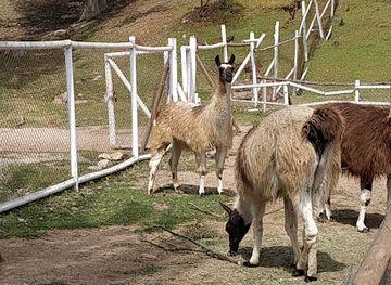 chile/coquimbo-region/attraction/parque-pedro-de-valdivia