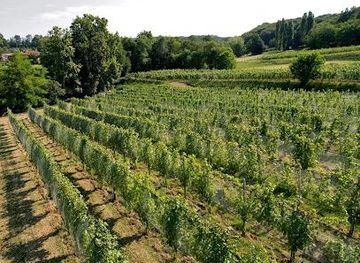 italy/verona/attraction/cascina-belmonte