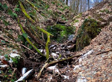 serbia/fruska-gora-national-park/attraction/oljin-vidopad