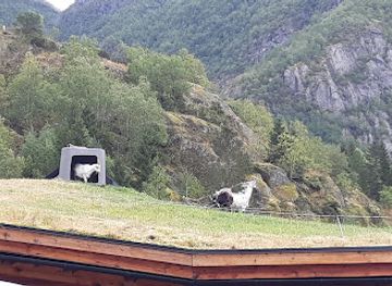 norway/hardangervidda-national-park/attraction/rooftop-goats
