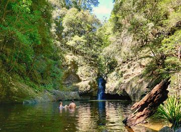 australia/mid-north-coast/attraction/potoroo-falls-walk