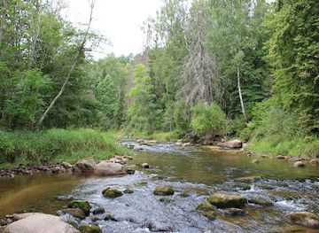latvia/teici-nature-reserve/attraction/amatas-dabas-taka