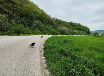 bosnia-and-herzegovina/tuzla/attraction/setaliste-vojno