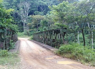 gabon/akanda-national-park/attraction/medzime-assock-gite-touristique-parc-des-monts-de-cristal-gabon