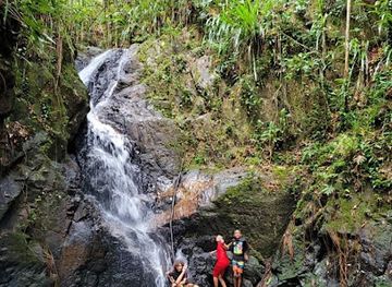 belize/mountain-pine-ridge-forest-reserve/attraction/palacio-s-paradise-eco-lodge