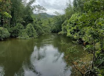 colombia/magdalena-river-valley/attraction/reserva-rio-claro