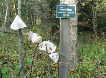 finland/finnish-lakeland/attraction/elamanlahde-spring