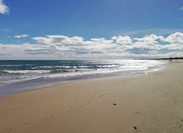 france/languedoc-coast/attraction/plage-des-dunes