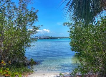 florida/nature-coast/attraction/quick-point-nature-preserve