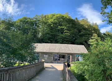 united-kingdom/cumbria/attraction/go-ape-whinlatter