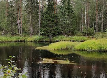 finland/halti/attraction/tapion-taival