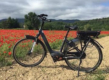 france/nimes/attraction/sun-e-bike