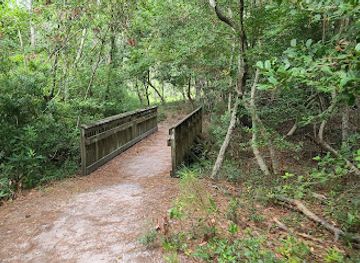north-carolina/crystal-coast/attraction/emerald-isle-woods-park